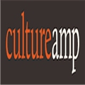 Culture Amp Alternatives