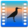 Curlew Alternatives