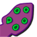 Cuttlefish Alternatives