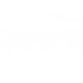 Cyberintel Report Alternatives