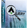 Cybervorequery  Alternatives