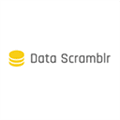 Data Scramblr Alternatives