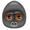 Debookee Alternatives