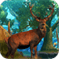 Deer Hunting Alternatives
