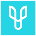 Desygner Alternatives
