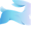 Directus Alternatives