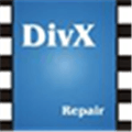 Divxrepair Alternatives
