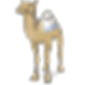 Dragoman Alternatives