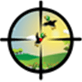 Duck Hunting Alternatives