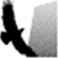 Eagledata Alternatives
