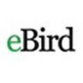 Ebird Alternatives