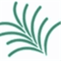 Evergreen ils Alternatives