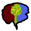 Evolve  Brain Games And Cognitive Training Lite Alternatives