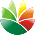 Eximioussoft Logo Designer Alternatives