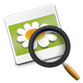 Eye Of Gnome Alternatives
