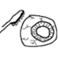 Eyepaste Com Alternatives