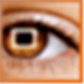 Facefilter Studio Alternatives