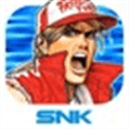 Fatal Fury Alternatives