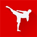 Fighting Trainer Alternatives