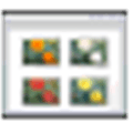 Fileoptimizer Alternatives