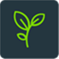 Filesprout Alternatives