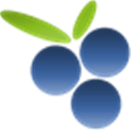 Findberry Alternatives