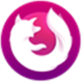 Firefox Focus Alternatives