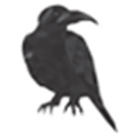 Flokinet Alternatives