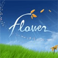 Flower Alternatives