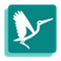 Flyve Mdm Alternatives