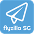 Flyzilla Alternatives