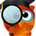 Focus School Alternatives