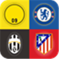 Football Clubs Logo Quiz Alternatives