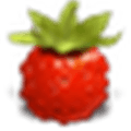Fraise Alternatives