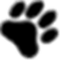 Fur Affinity Alternatives