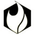 Fyre Alternatives