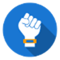 Gadgetbridge Alternatives