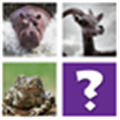 Ghosts Animals Alternatives