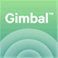 Gimbal Alternatives