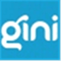 Gini Net Alternatives