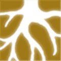 Glowroot Alternatives