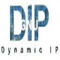 Gnudip Dynamic Dns Alternatives