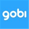 Gobi Alternatives
