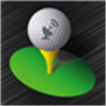 Golfcard Alternatives