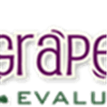 Grapevine Evaluations Alternatives