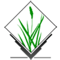 Grass Gis Alternatives
