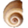 Gregs Dos Shell Alternatives