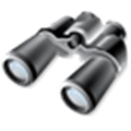 Groot Web Search Engine Alternatives