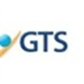 Gts Translation Alternatives