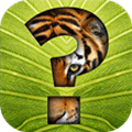 Guess The Animal Alternatives